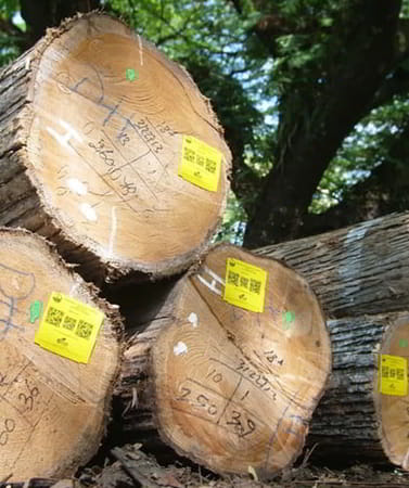 Svlk certified teak